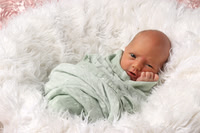 Newborn  Sadie