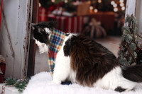 IMG_1328