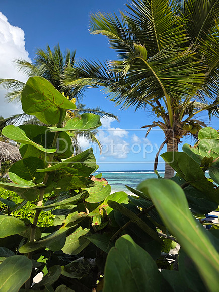 gc 016