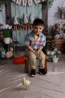 Ally Baby Chicks Mar-26