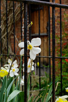 DSC00289