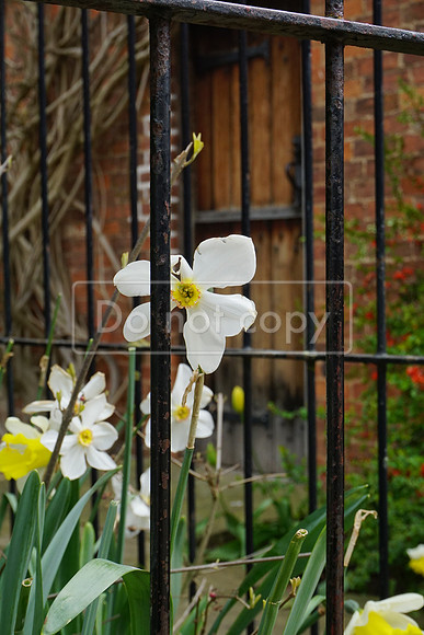 DSC00289