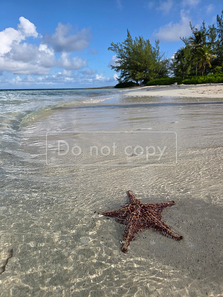 gc 014