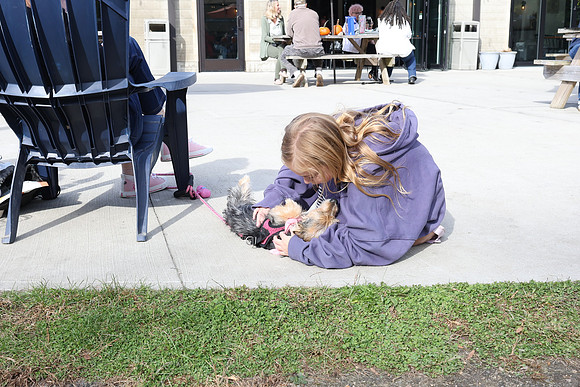 IMG_0303