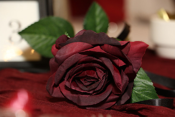 S&R 0055