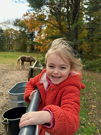 stella