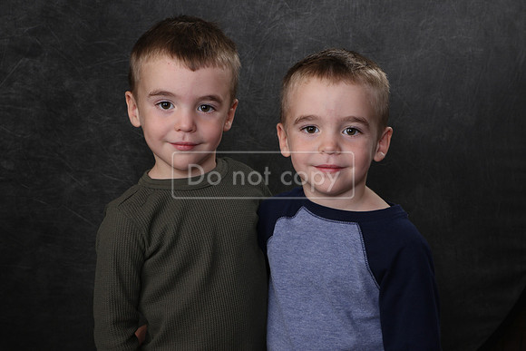 231