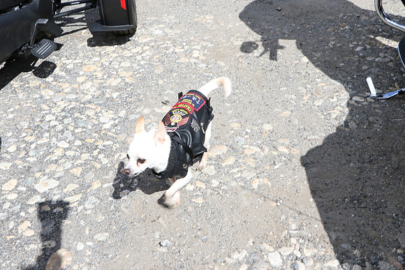 IMG_0233